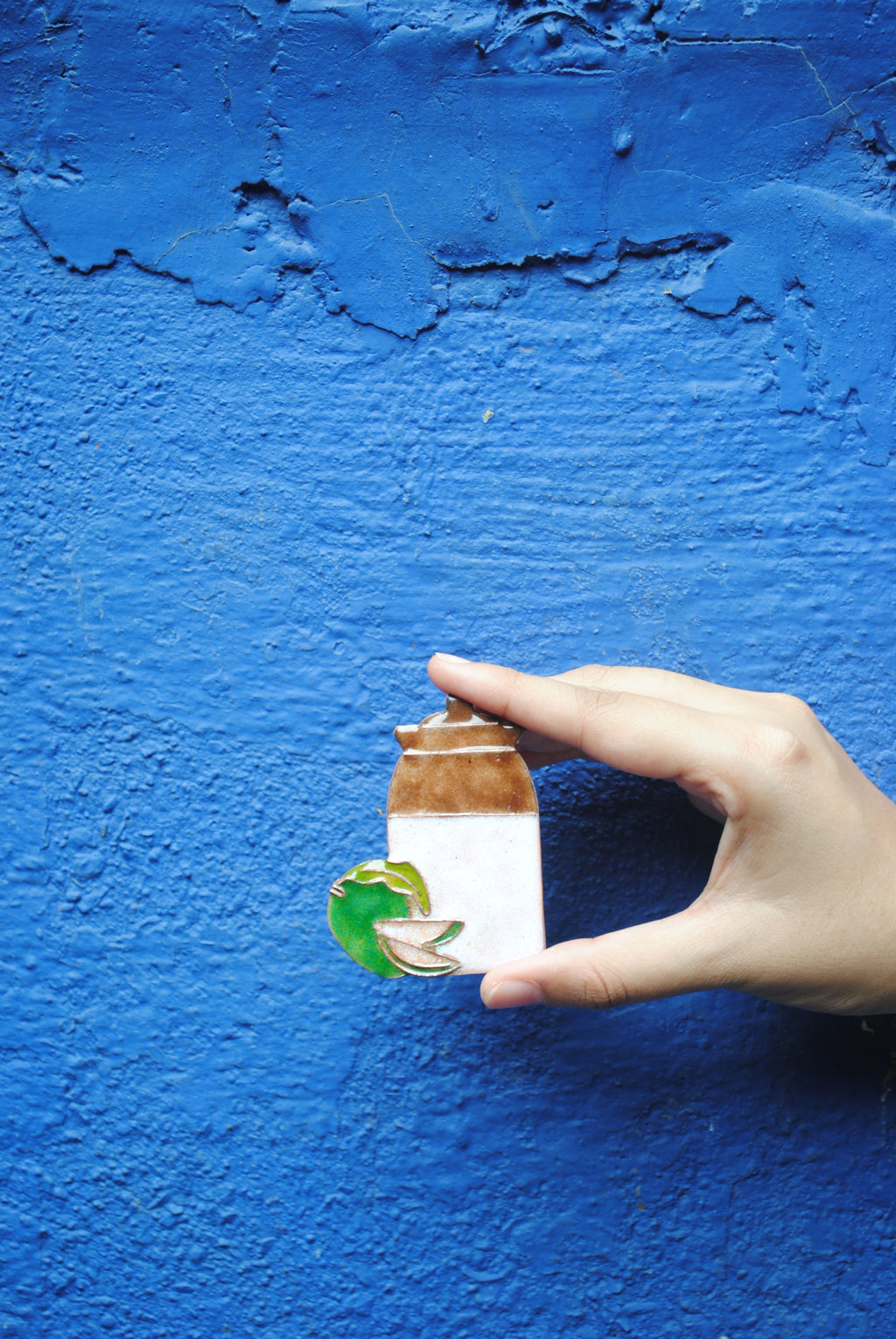 Ekibeki Handcrafted  Fridge Magnets- Summer series- Achar Attack