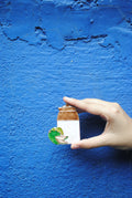 Ekibeki Handcrafted  Fridge Magnets- Summer series- Achar Attack