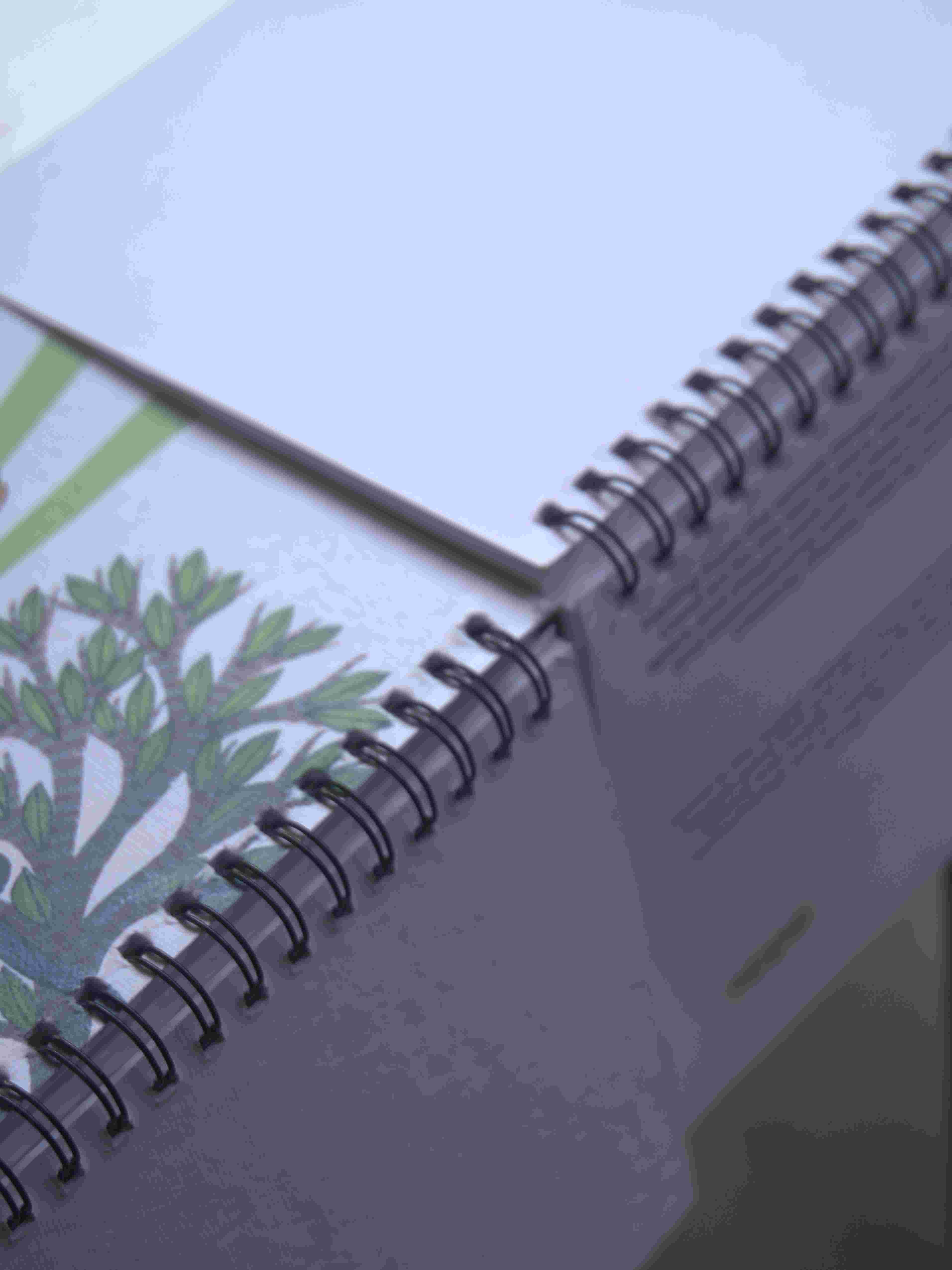Gond Spiral Sketchpad