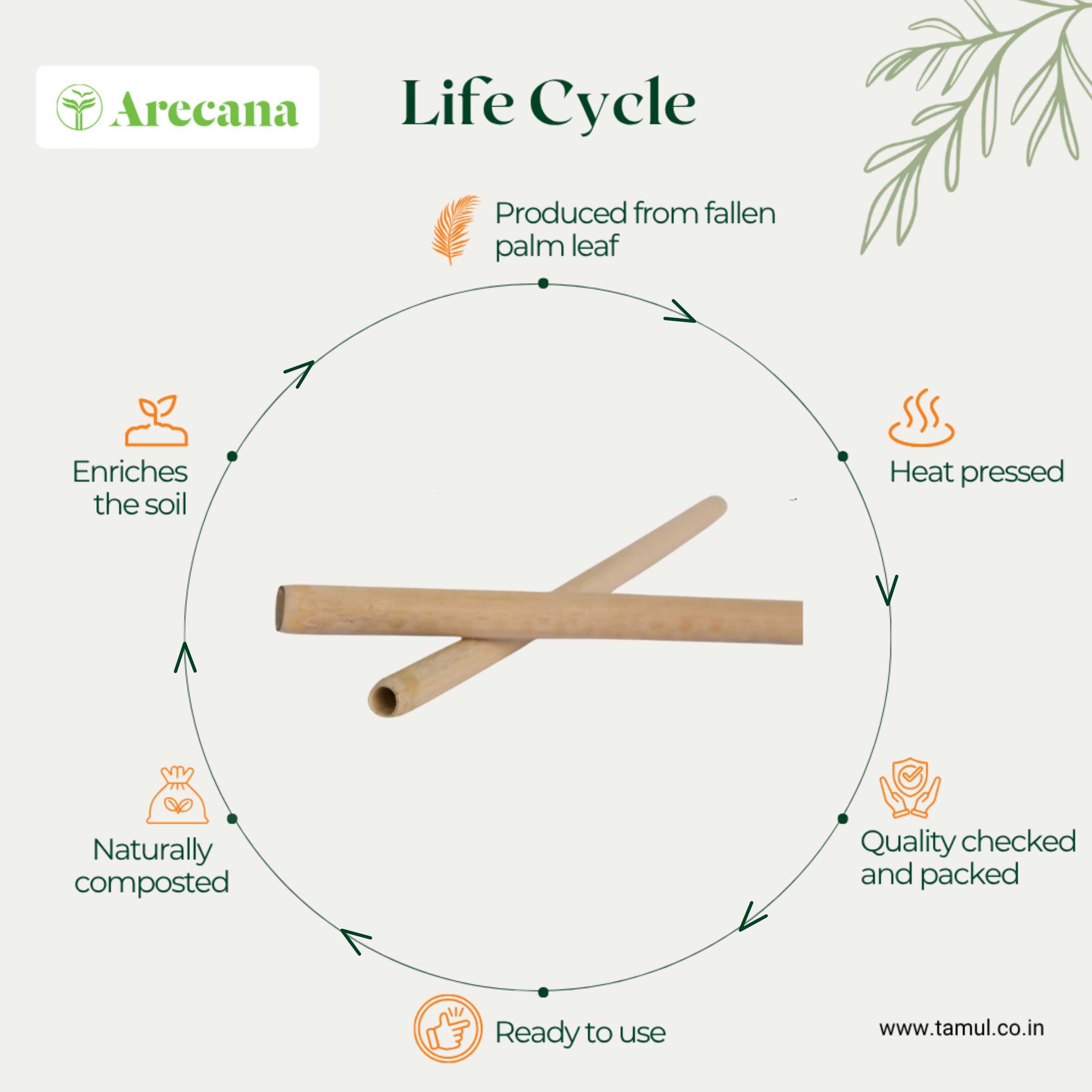 Tamul Arecana Tableware- Bamboo Straws