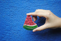 Ekibeki  Handcrafted Fridge Magnets- Summer series- What a Melon
