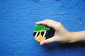 Ekibeki  Handcrafted Fridge Magnets- Summer series- Zesty Dude